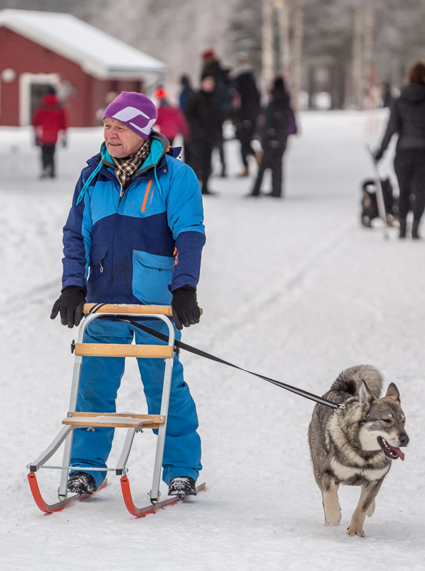 Jokkmokk Trip 2017-67