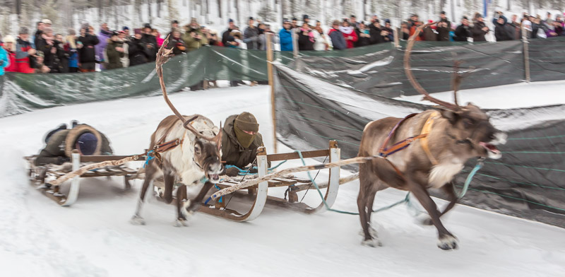 Jokkmokk Trip 2017-70