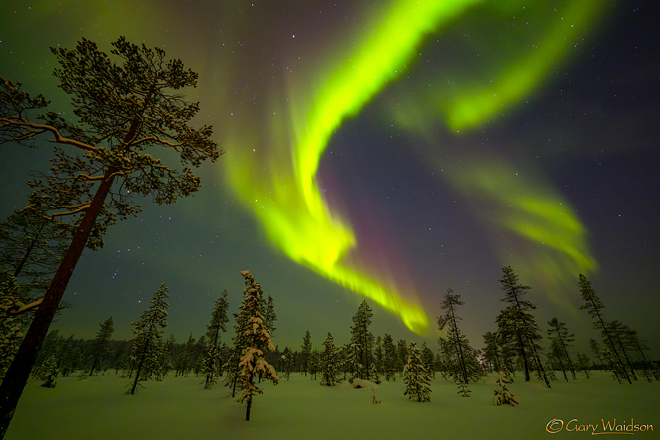 Northern Lights over Kittila - Ice Raven - Sub Zero Adventure - Copyright Gary Waidson, All rights reserved.