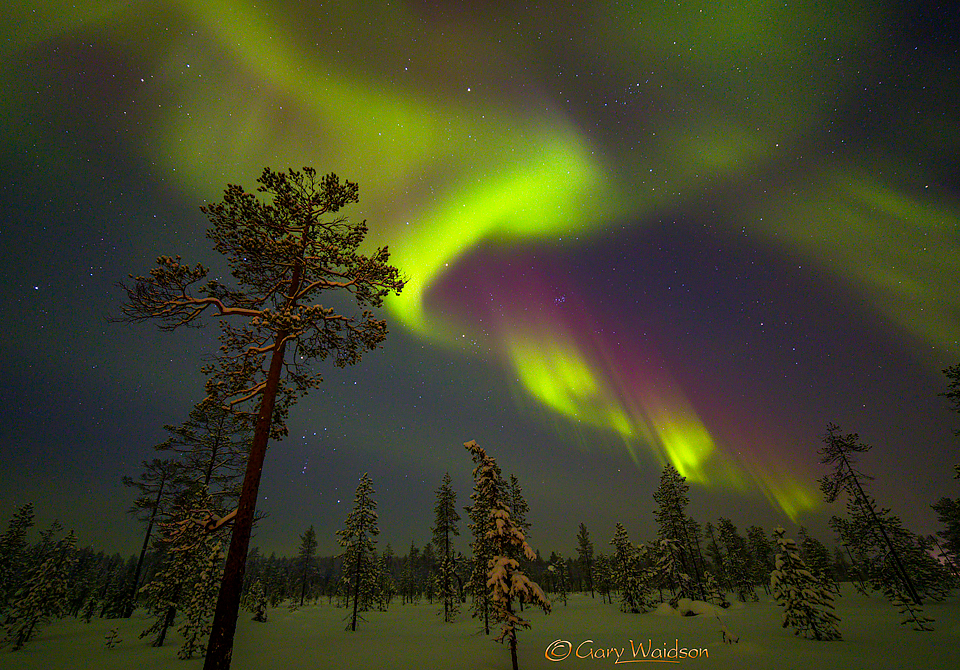 Aurora over Kittila - Ice Raven - Sub Zero Adventure - Copyright Gary Waidson, All rights reserved.