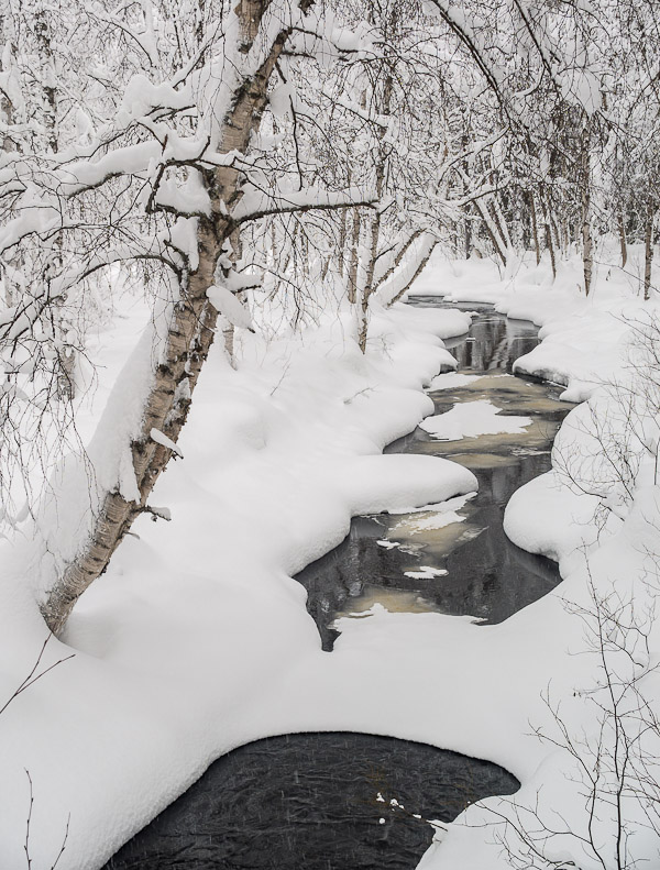 Stream under Snow - Ice Raven - Sub Zero Adventure - Copyright Gary Waidson, All rights reserved.